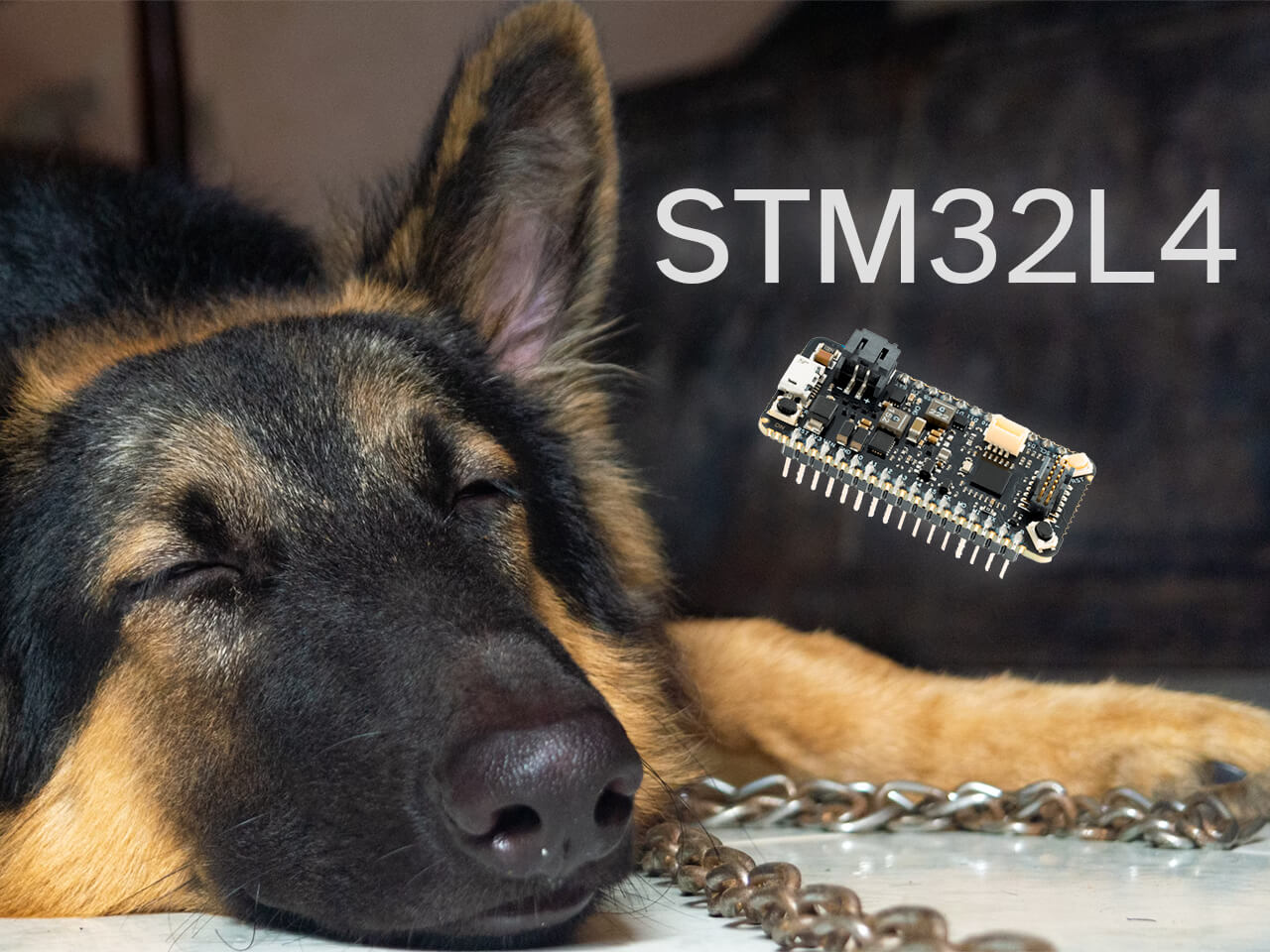 Implementing a Watchdog Timer on the STM32L4-based Blues Swan banner